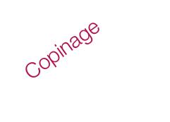 accueil_bandeau_copinage